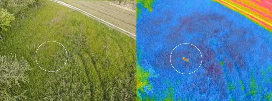 Normalbild und Wärmebild