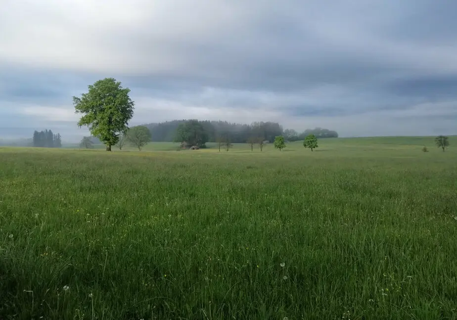 Wiesenansicht