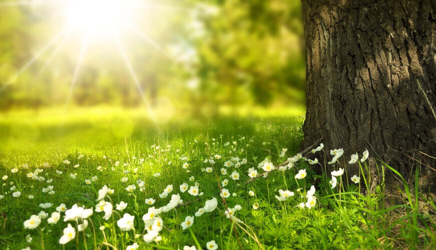 Sommer